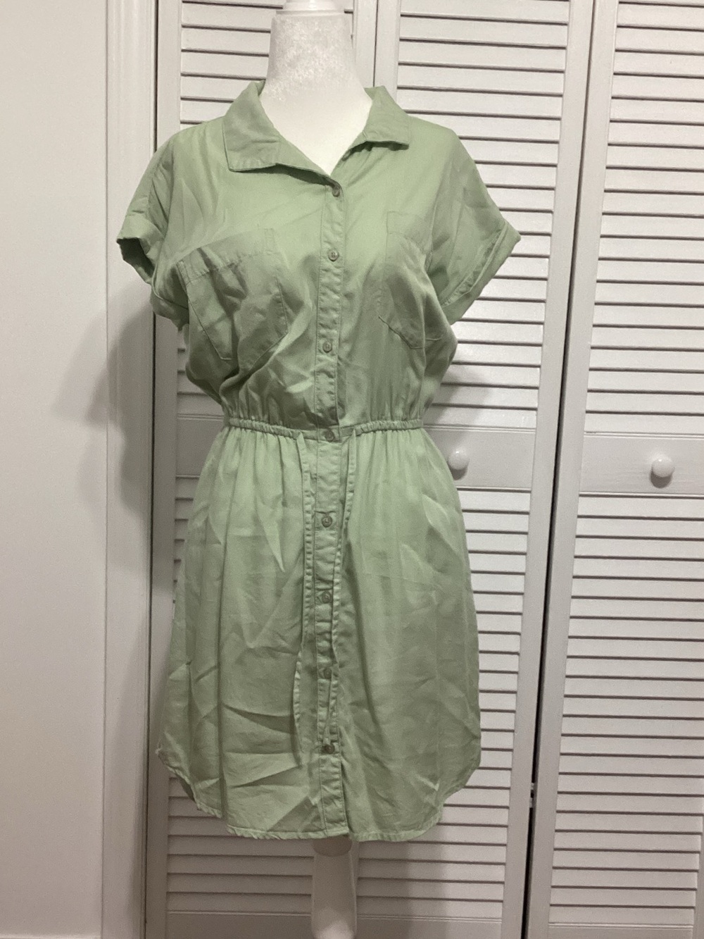 Japna Mint Green Button-Front Mini Shirt Dress